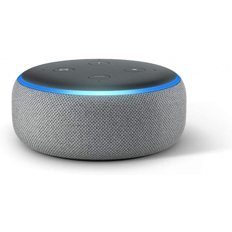 what can alexa echo dot do